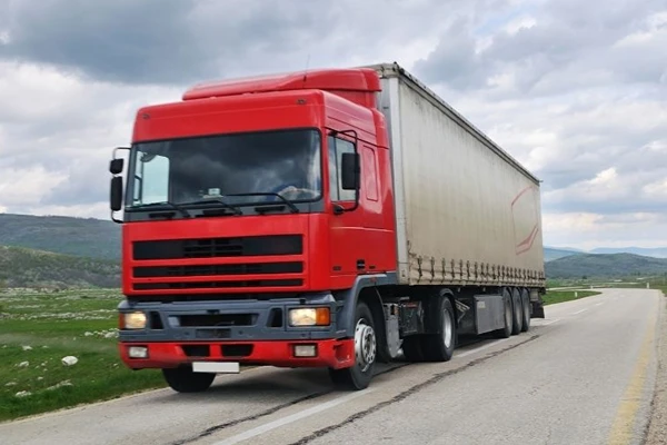 Ankara Kangal, Ambar